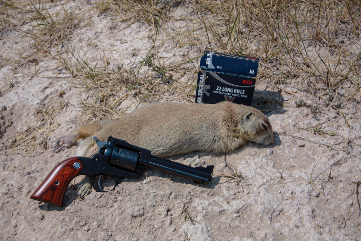 A current Model Single Six Ruger does its thing.